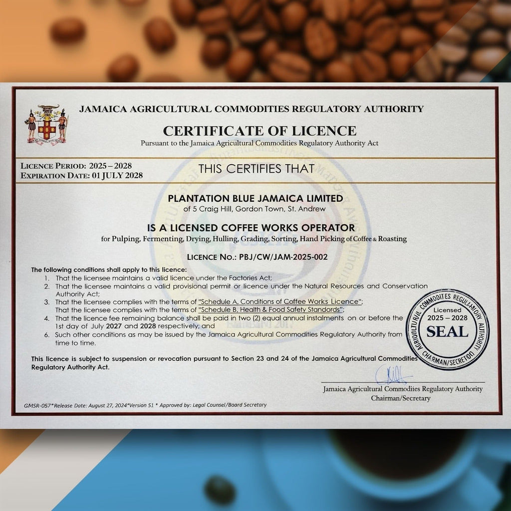 100% Jamaica Blue Mountain Premium Coffee (16 oz - medium roasted whole beans)